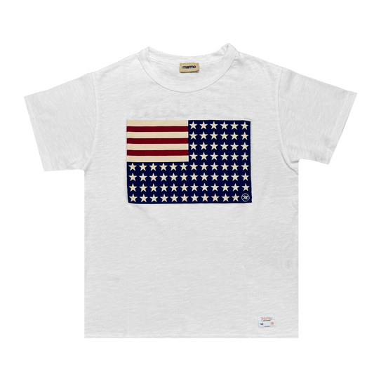 USA REVERSED FLAG