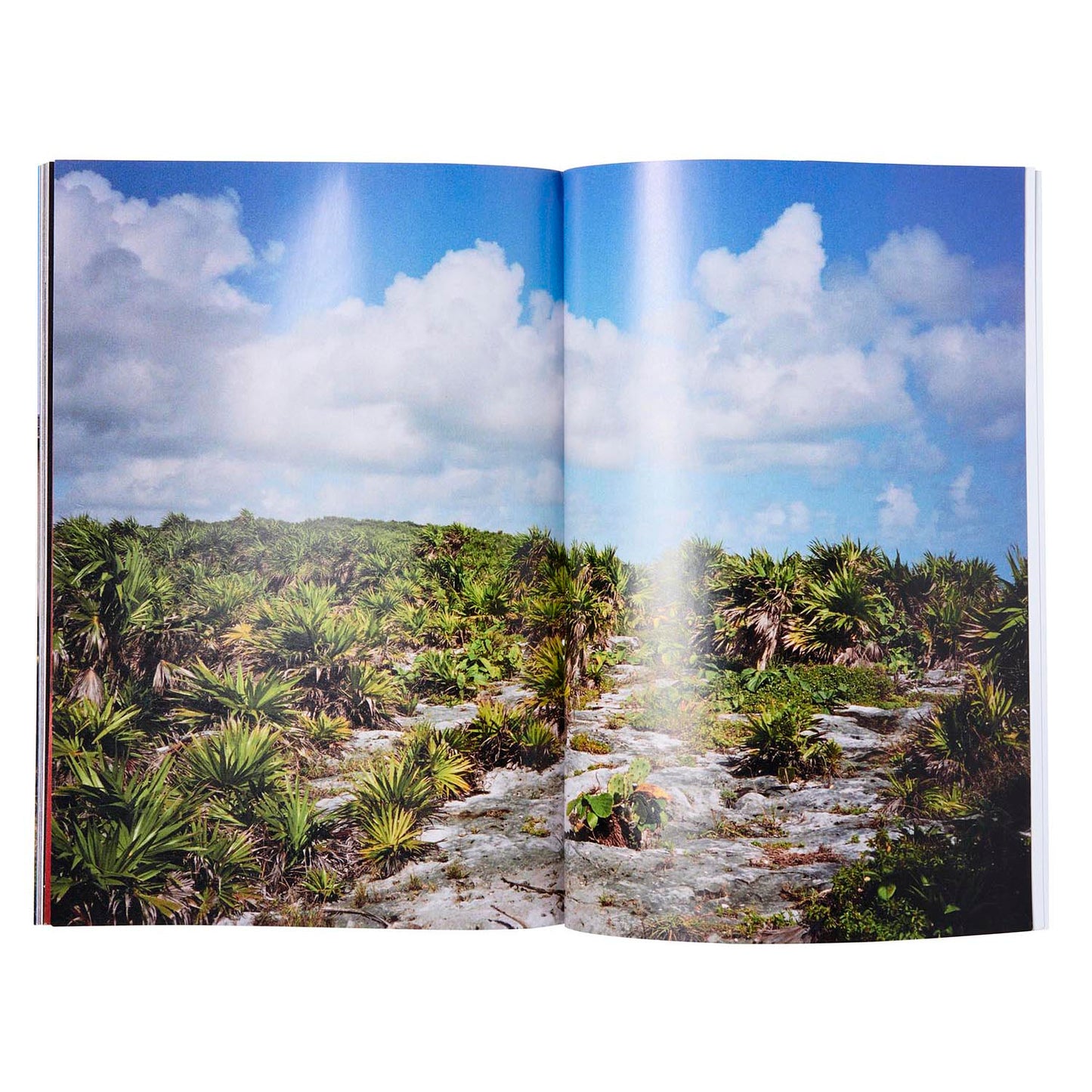 TRUESTORY MAGAZINE VOL.1
